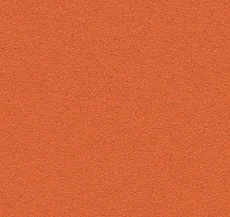 Линолеум Forbo Marmoleum Bulletin Board 2211 tangerine zest фото 1 | FLOORDEALER